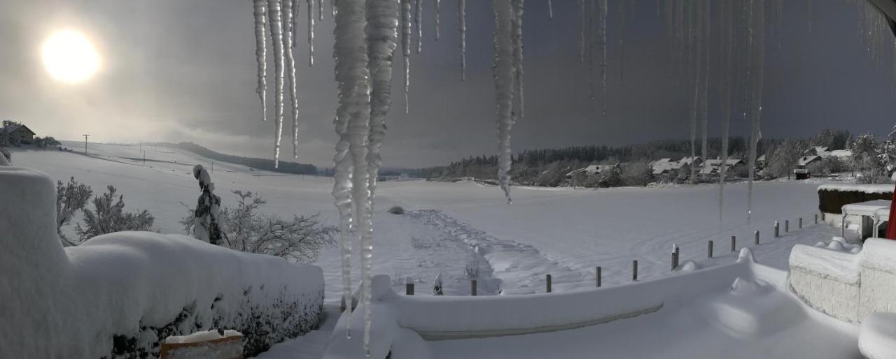 Haus Ketterer Appartement Bad Dürrheim Buitenkant foto