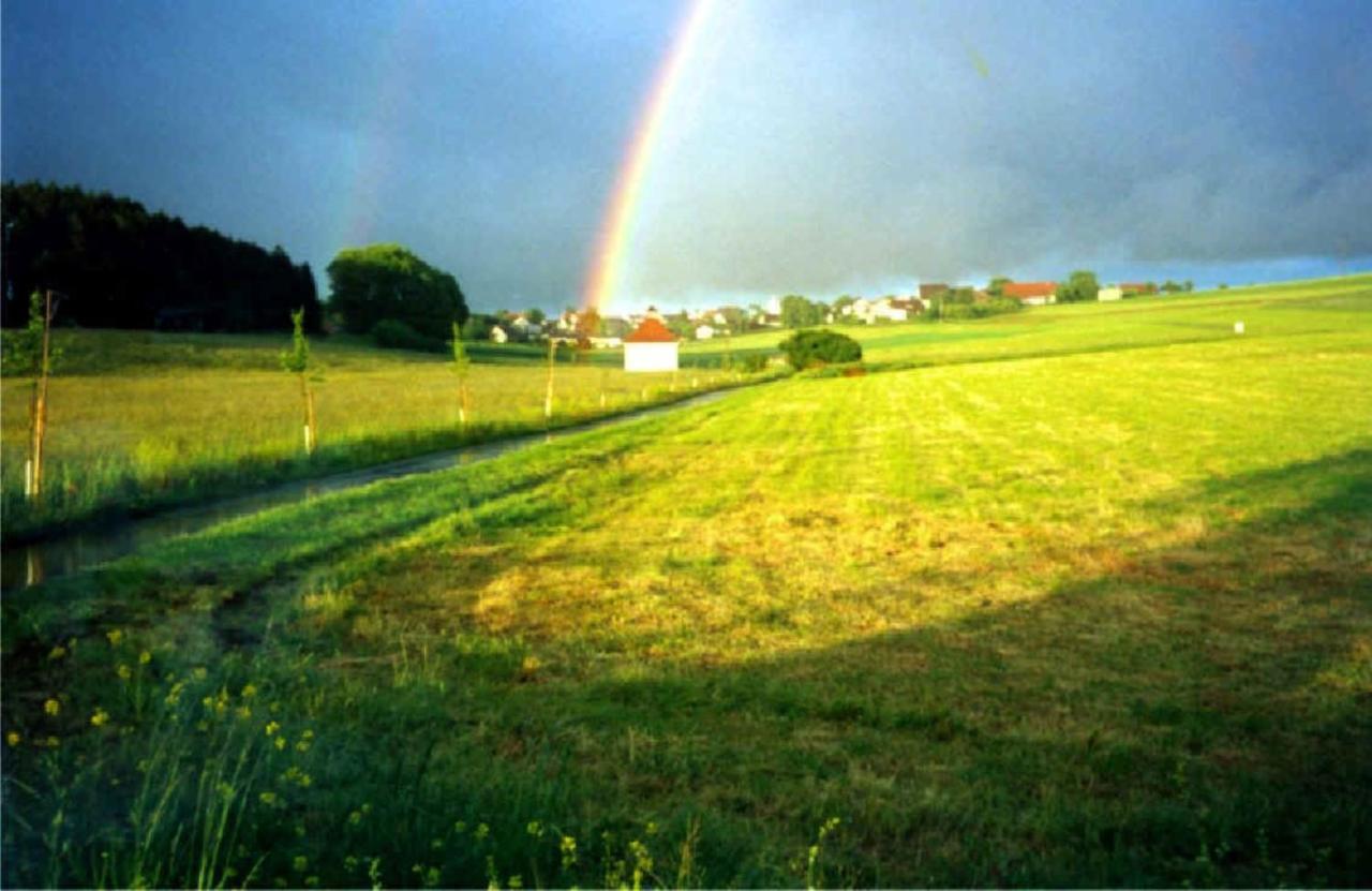 Haus Ketterer Appartement Bad Dürrheim Buitenkant foto